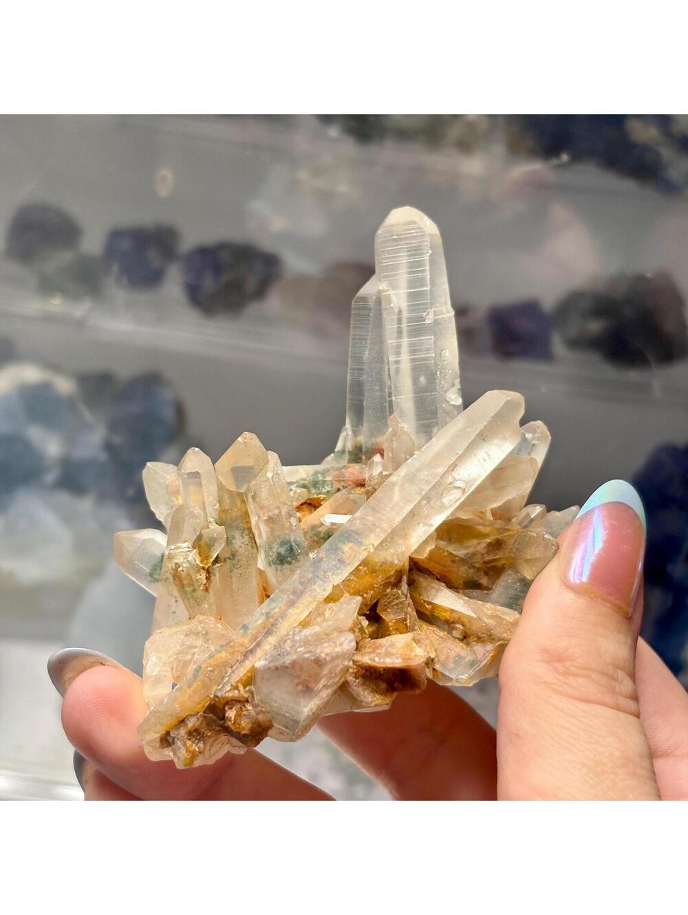 Garden Quartz Crystal Cluster | Chlorite Included Quartz |